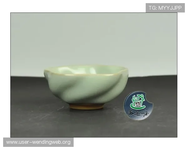 问鼎国际电脑版怎么下载最安全，官方渠道与非官方途径优缺点全面分析