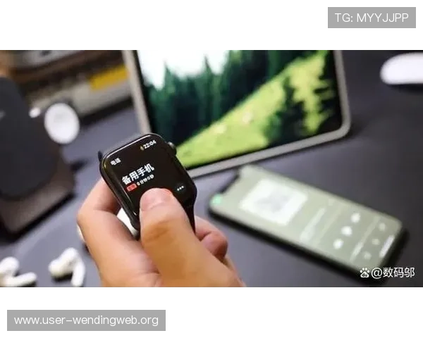 问鼎官网登录入口安全登录技巧，提升账号安全性与登录效率的实用建议