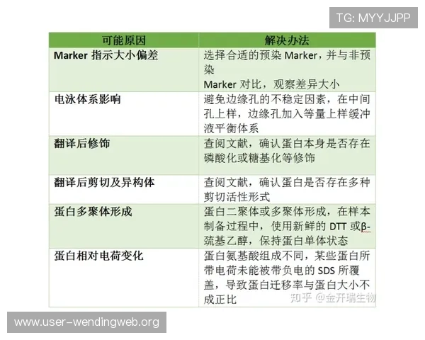 问鼎真人版会员注册失败怎么办常见问题及解决方案分析